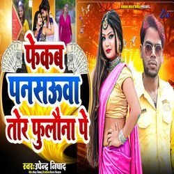 fekab pansuaa tor fulona pe