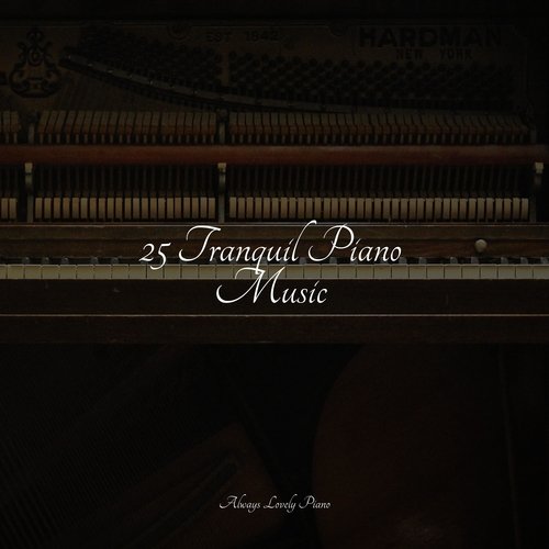 25 Tranquil Piano Music