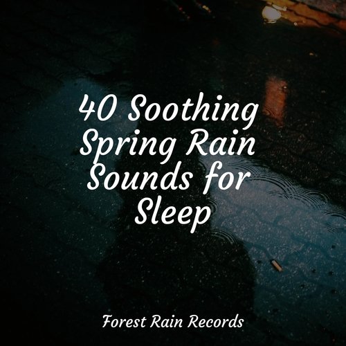 Rain, Storm and Thunder cover art