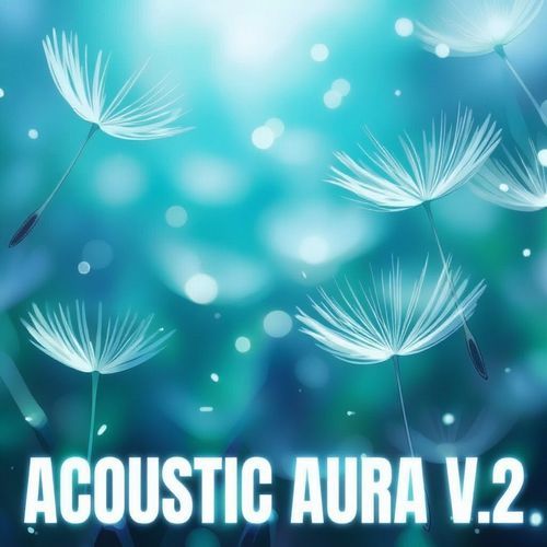 Acoustic aura v.2