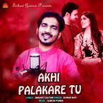 Akhi Palakare Tu