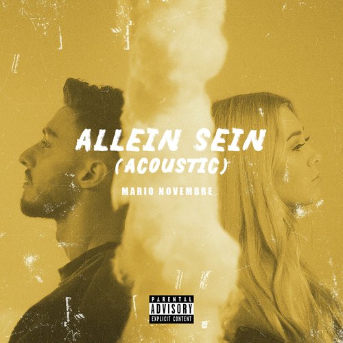 Allein sein (Acoustic)_poster_image