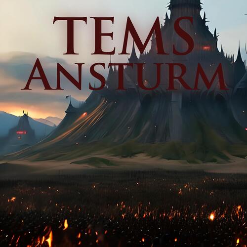 Ansturm_poster_image