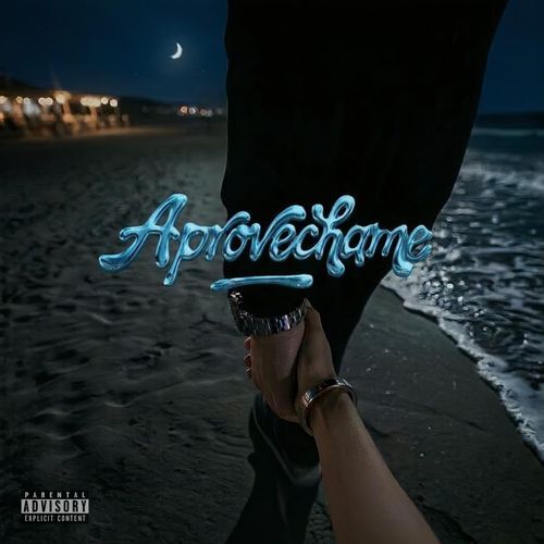Aprovechame cover art