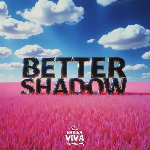 Better Shadow