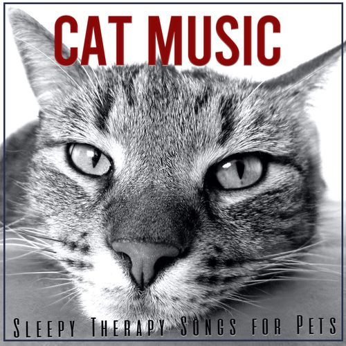 Cat Music cover art