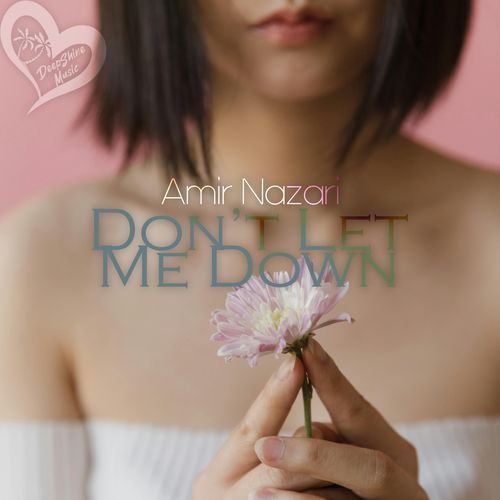 Don't Let Me Down cover art