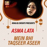 Mein Bhi Taqseer Aseer
