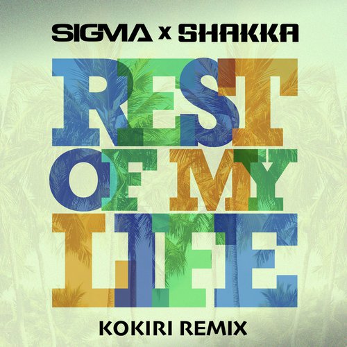 Rest Of My Life (Kokiri Remix)_poster_image