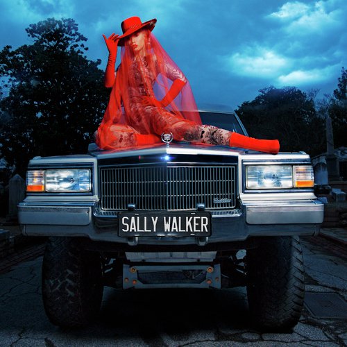 Sally Walker_poster_image