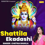 Shattila Ekadashi artwork