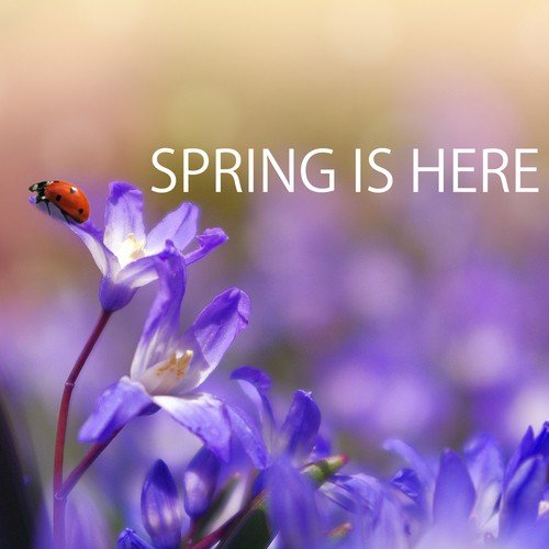 Spring is Here - Soft and Relaxing Sounds of Nature Music Playlist for Spring Equinox_poster_image