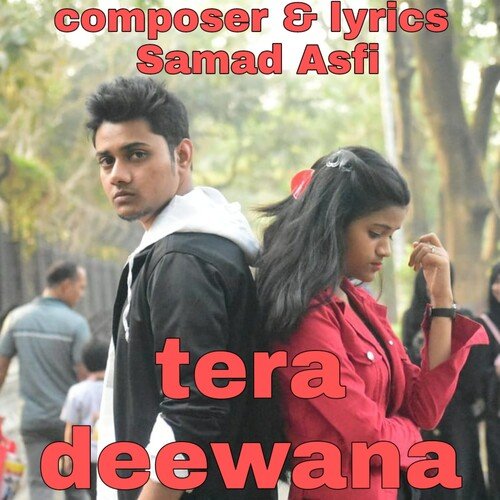 Tera Deewana