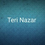 Teri Nazar