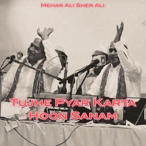 Tujhe Pyar Karta Hoon Sanam