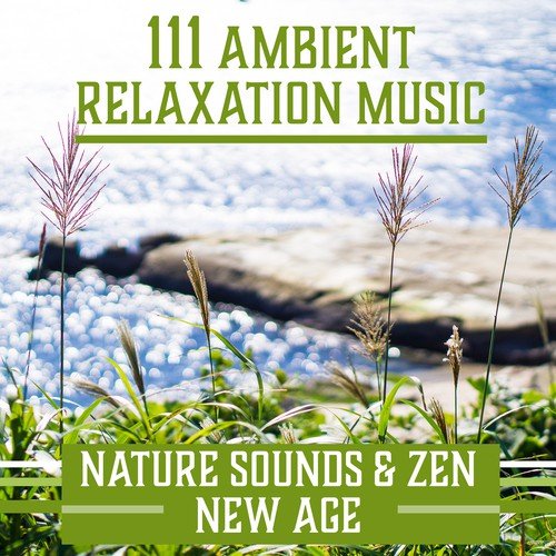 111 Ambient Relaxation Music: Nature Sounds & Zen New Age for Massage, Spa, Reiki, Meditation and Stress Relieve, Healing Music Therapy