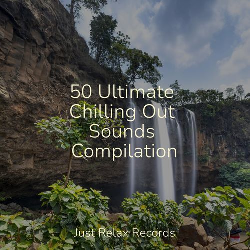 50 Ultimate Chilling Out Sounds Compilation