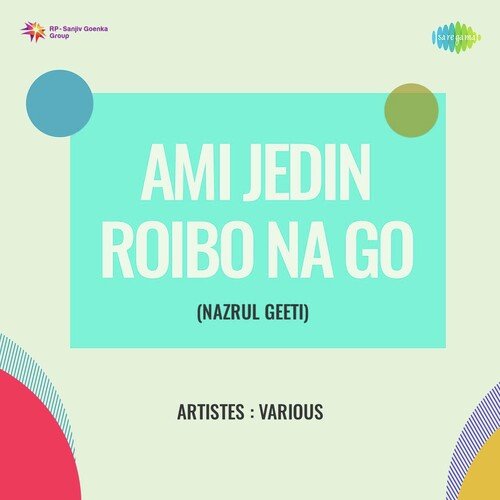 Ami Jedin Roibo Na Go