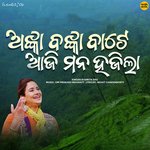 Anka Banka Bate Aaji Mana Hajila