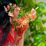 Baromasiya Munga More Taka te santhali song