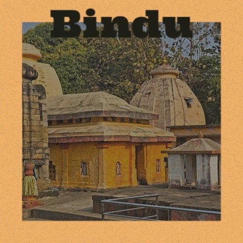 Bindu