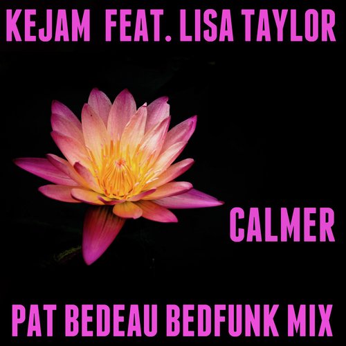 Calmer (Pat Bedeau Bedfunk Vocal Mix)