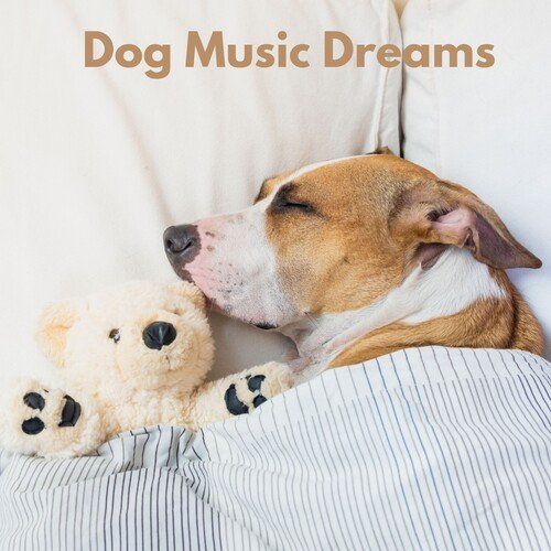 Relax My Dog cover art