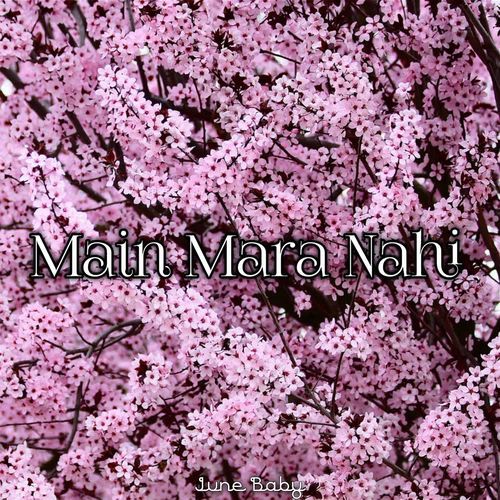 Main Mara Nahi