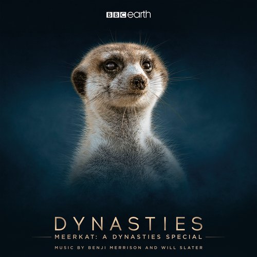 Meerkat: A Dynasties Special (Original Television Soundtrack)_poster_image