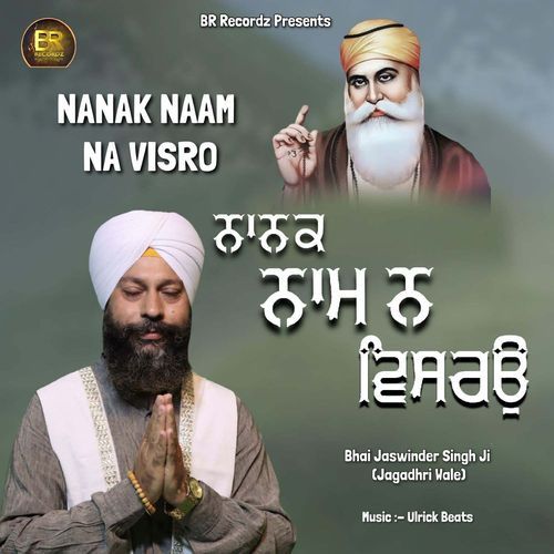 Nanak Naam Na Visro