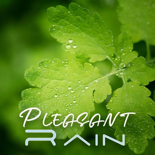 Pleasant Rain: Soothing and Calming Atmosphere_poster_image