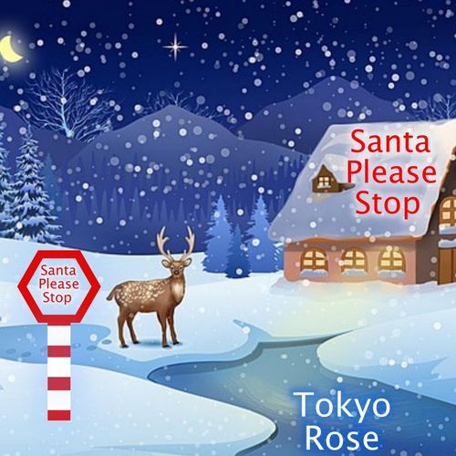 Santa Please Stop_poster_image