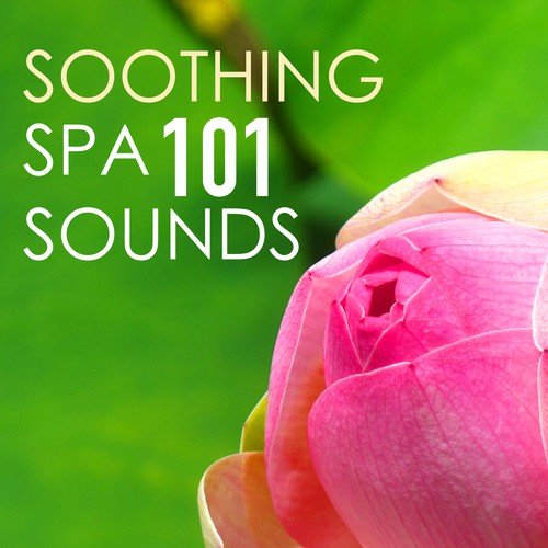 Soothing Spa Sounds 101 - Serenity Massage Background Music for Healing Moments, Tribe Songs