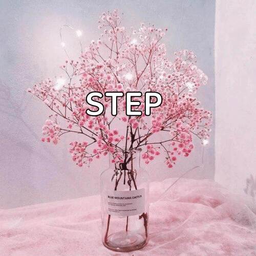 Step