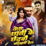 Tora Chati Ke Chedbo Bariyari Beta