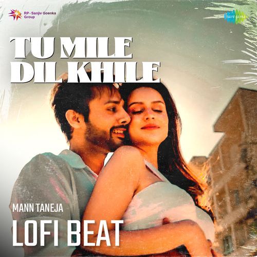 Tu Mile Dil Khile Lofi Beat