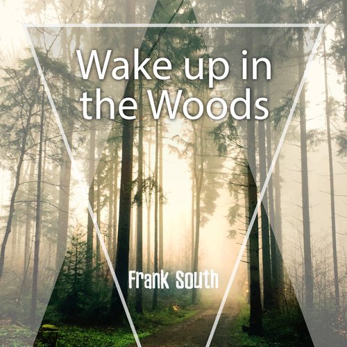 Wake up in the Woods_poster_image