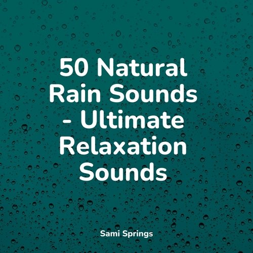 50 Natural Rain Sounds - Ultimate Relaxation Sounds_poster_image