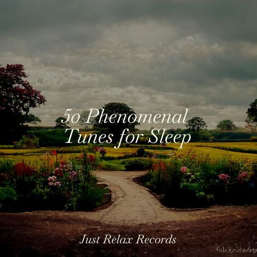 Velvet Dreamscape Bliss cover art