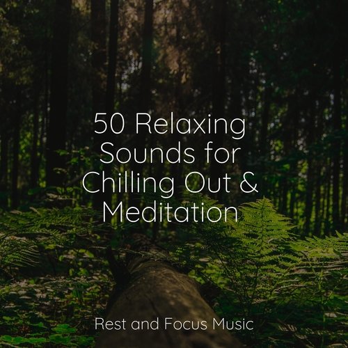 50 Relaxing Sounds for Chilling Out &amp; Meditation_poster_image