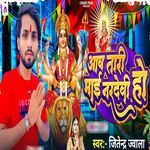 Aaw Tari Mai Nar Devi Ho
