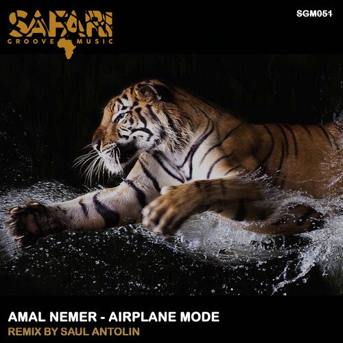 AIrplane Mode (Saul Antolin Remix) cover art