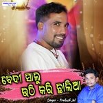 Bedi Salu Uthikari Chalia