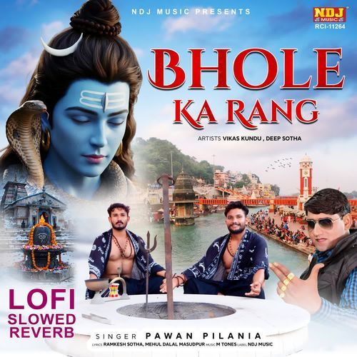 Bhole Ka Rang Lofi (Slowed + Reverb)