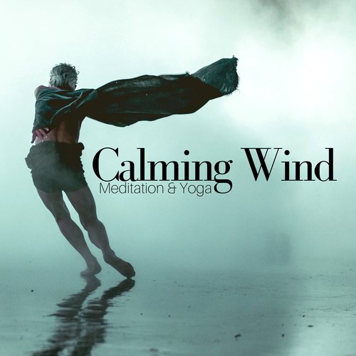 Soundscapes Relaxation cover art