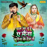 Chal Ja Tu Hu Ye Maina Sunaina Ke Desh Me