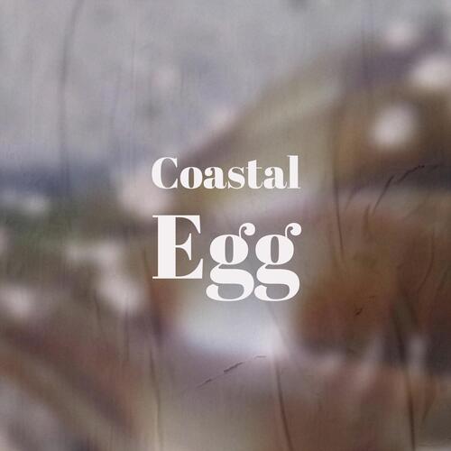 Cohen cover art