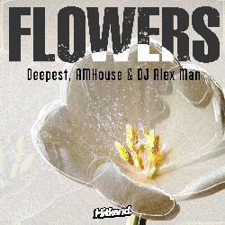 Flowers-NA4MdjhFRn8