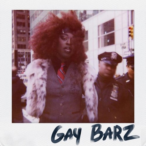 GAY BARZ_poster_image