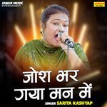 Josh Bhar Gaya Man Mein artwork